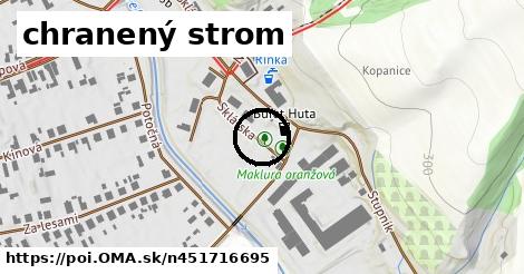 chranený strom