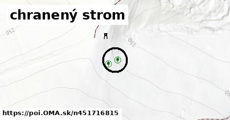 chranený strom