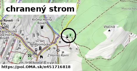 chranený strom