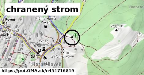 chranený strom