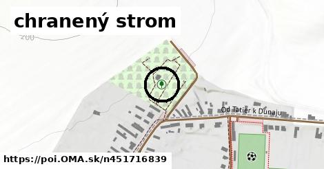 chranený strom