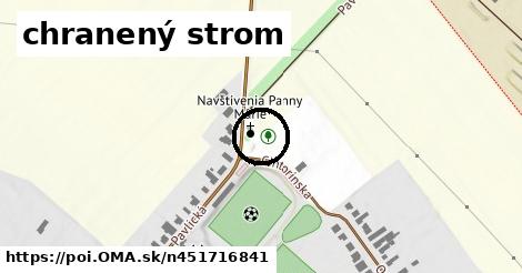 chranený strom