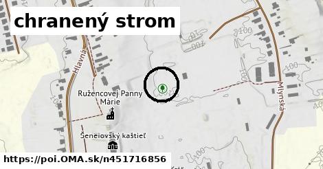 chranený strom