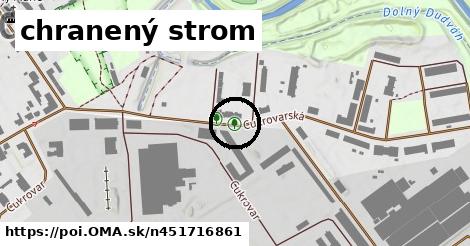 chranený strom