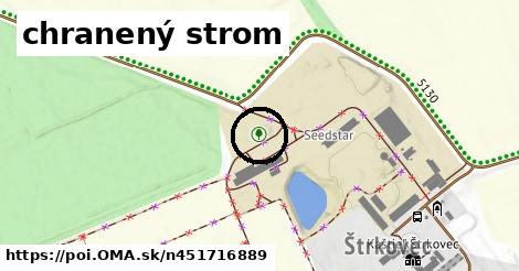 chranený strom