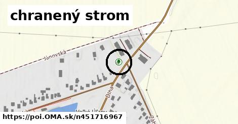 chranený strom