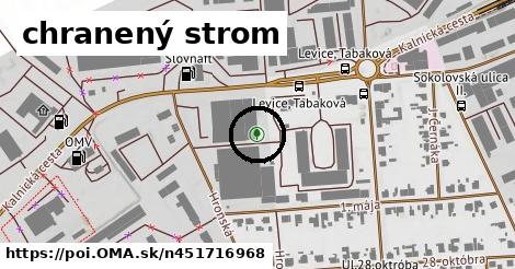 chranený strom