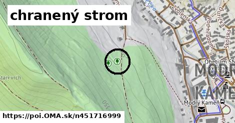 chranený strom