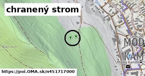 chranený strom