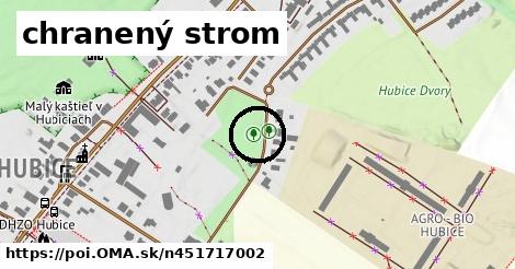 chranený strom