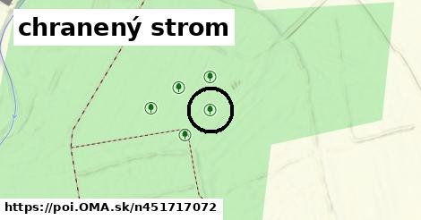 chranený strom