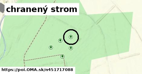 chranený strom