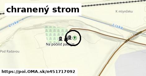 chranený strom