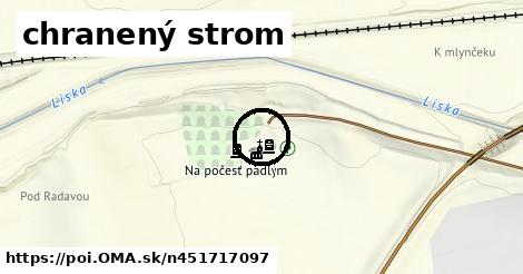 chranený strom