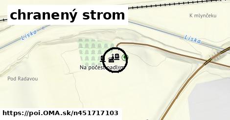 chranený strom