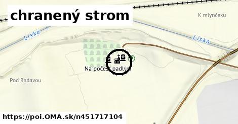 chranený strom