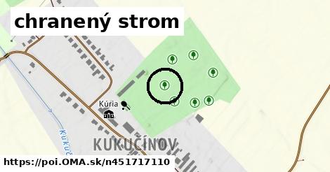 chranený strom