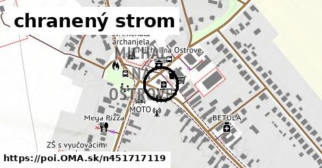 chranený strom