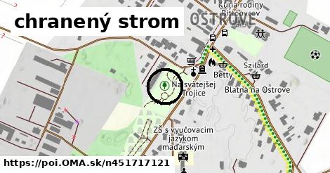 chranený strom