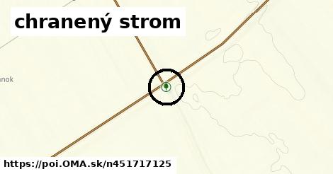 chranený strom