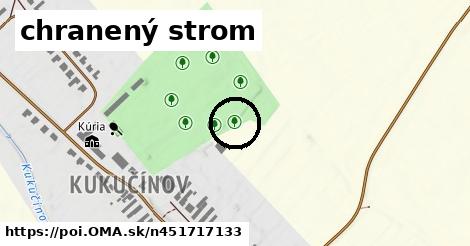 chranený strom