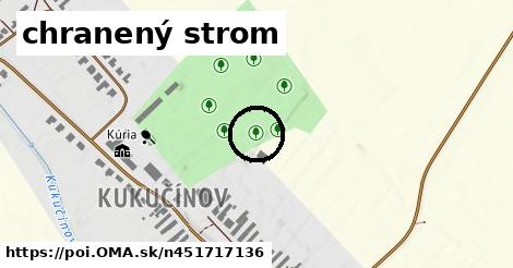 chranený strom