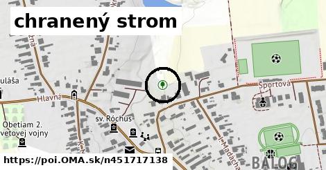 chranený strom