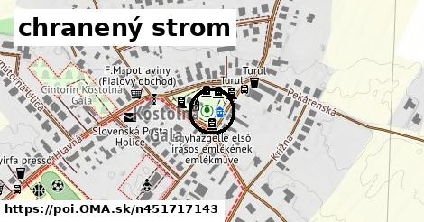 chranený strom