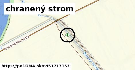 chranený strom