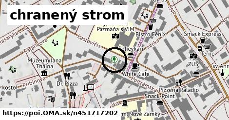 chranený strom