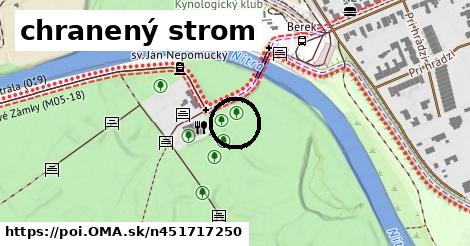 chranený strom