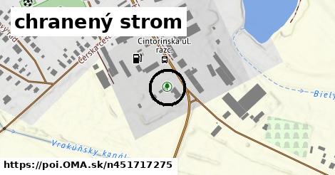 chranený strom