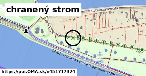 chranený strom