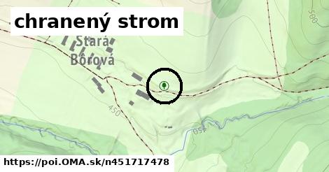 chranený strom