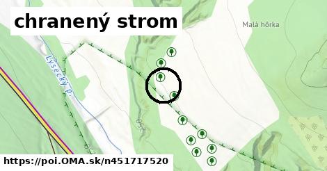 chranený strom