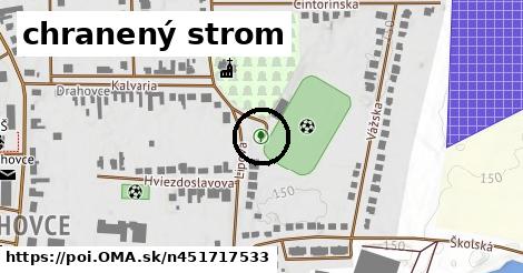 chranený strom