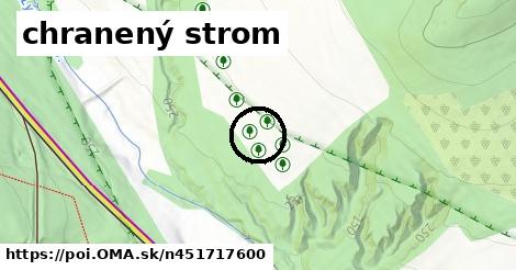 chranený strom