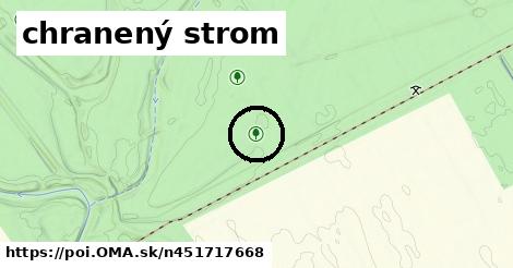 chranený strom