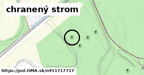 chranený strom