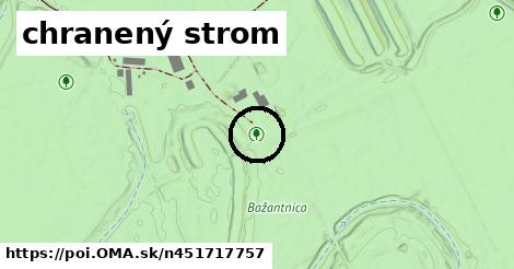 chranený strom