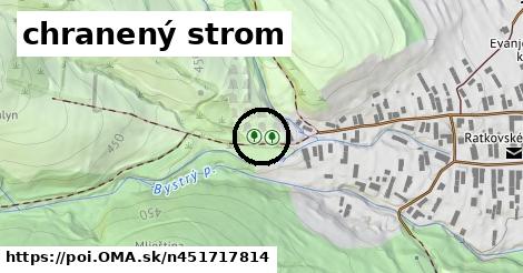 chranený strom