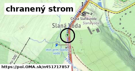 chranený strom