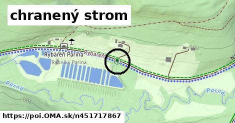 chranený strom