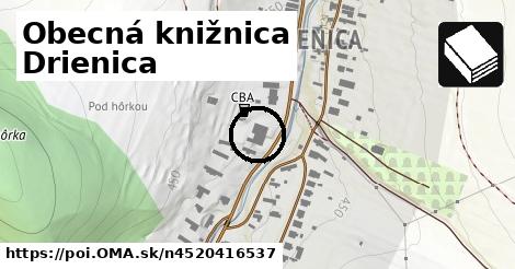 Obecná knižnica Drienica