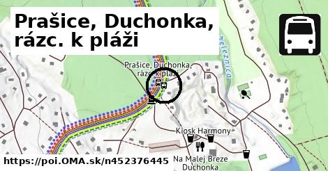 Prašice, Duchonka, rázc. k pláži