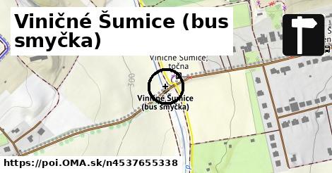 Viničné Šumice (bus smyčka)