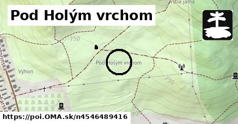 Pod Holým vrchom