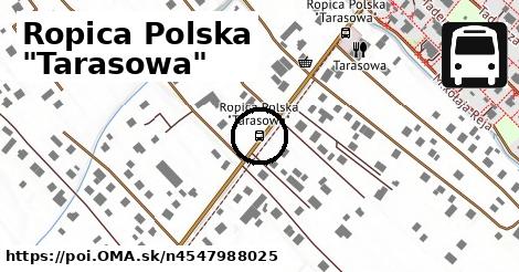 Ropica Polska "Tarasowa"