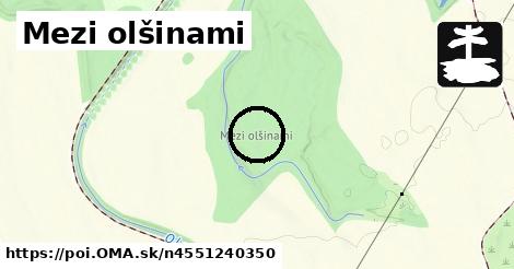 Mezi olšinami