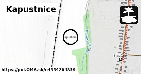 Kapustnice